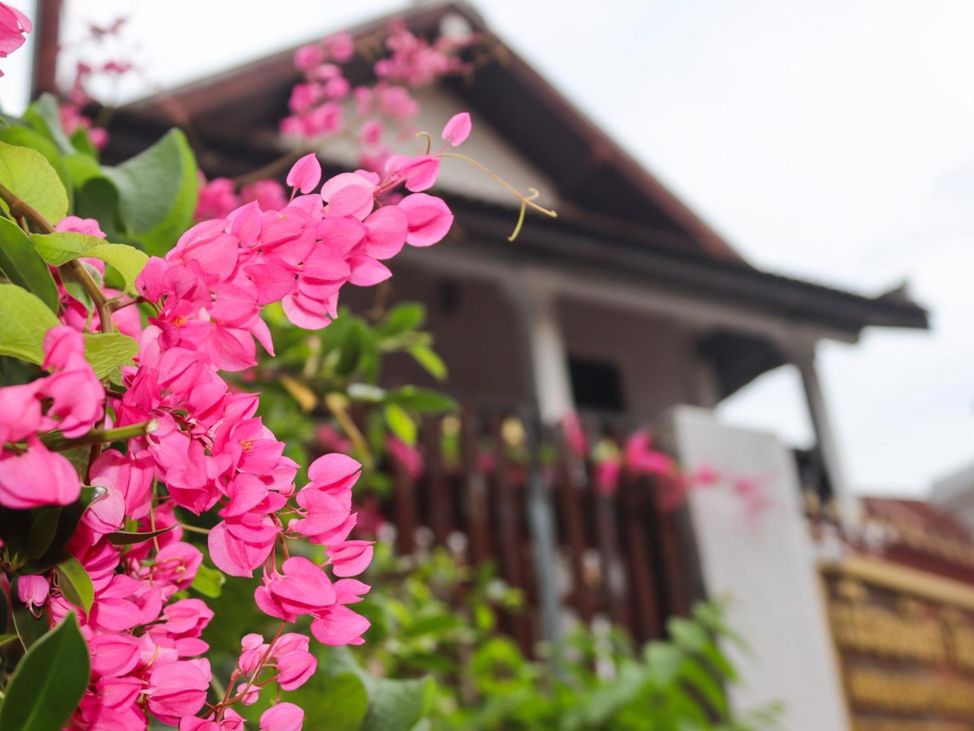 Nirasim Villa Luang Prabang Exteriér fotografie